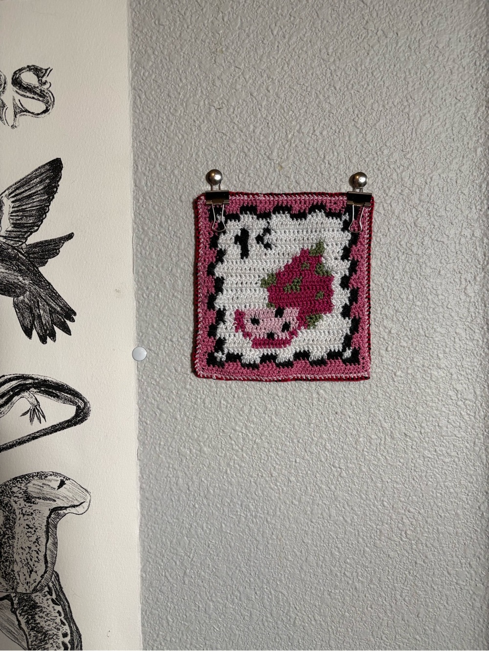 handmade sew-on dragonfruit patch